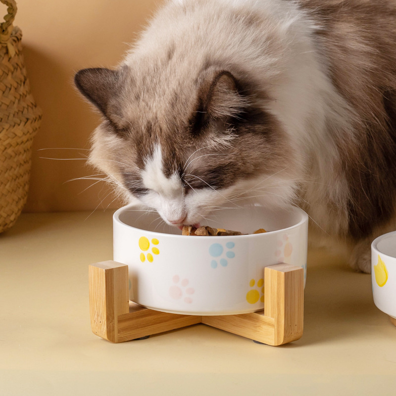 Mangkuk anjing keramik dengan  - Baby Food Cat ulasan dan harga